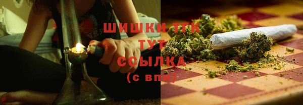 spice Богородицк