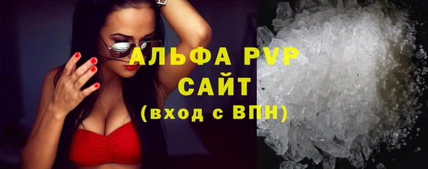 spice Богородицк