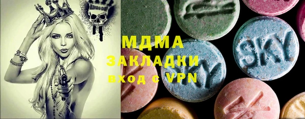 spice Богородицк