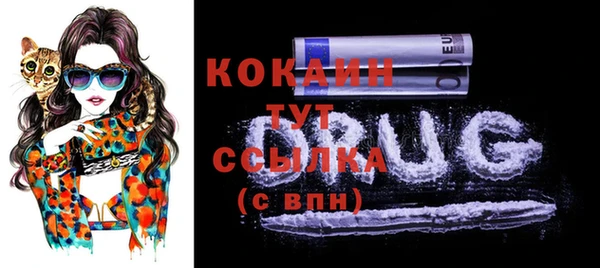 spice Богородицк